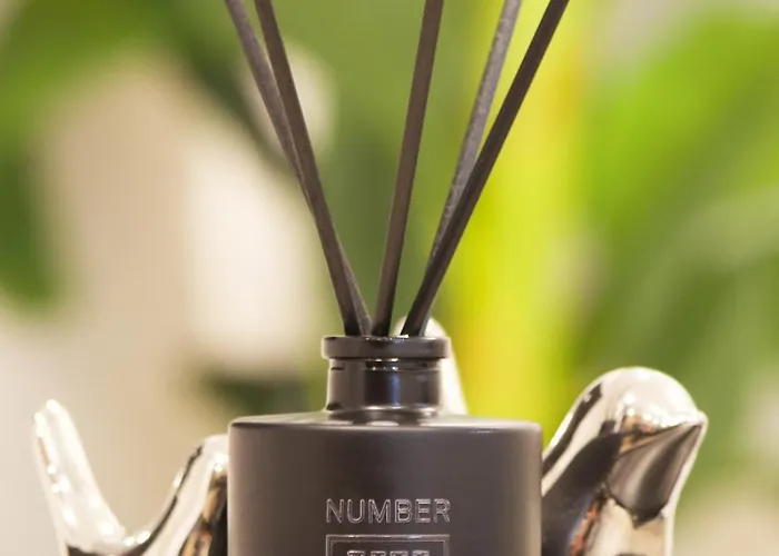 Luxury Renovated Ground Floor 1br - Of The - Historical Centre Apartamento *